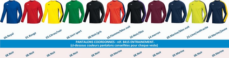 PALETTE JAKO ligne STRIKER: SWEAT STRIKER Réf.8816