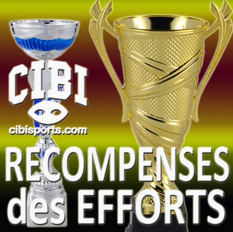 RECOMPENSES DES EFFORTS